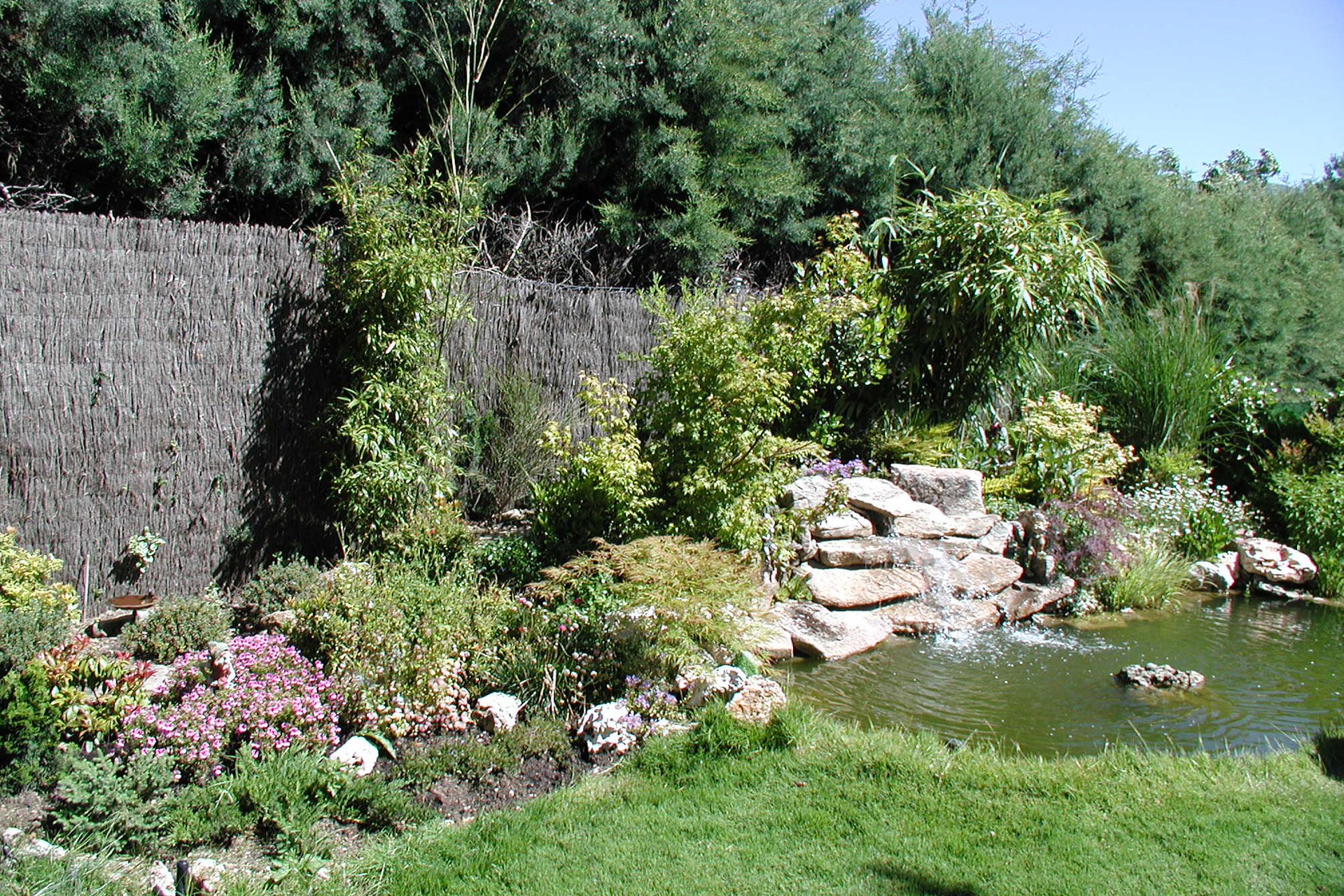 El estanque, una pieza esencial en cualquier tipo de jardín