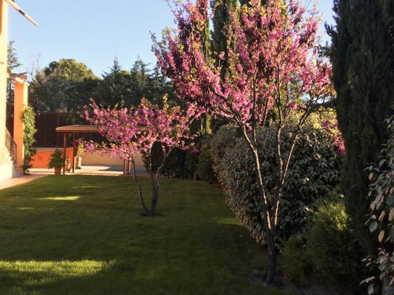 Jardín italiano