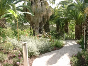 Paseo ajardinado entre vegetación mediterránea