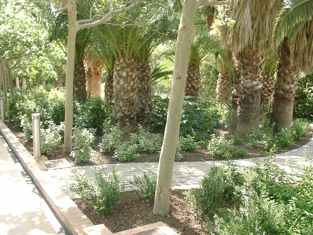 Jardín mediterráneo con senderos y vegetación ornamental