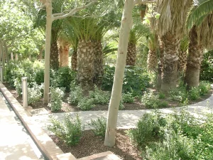 Jardín mediterráneo con senderos y vegetación ornamental