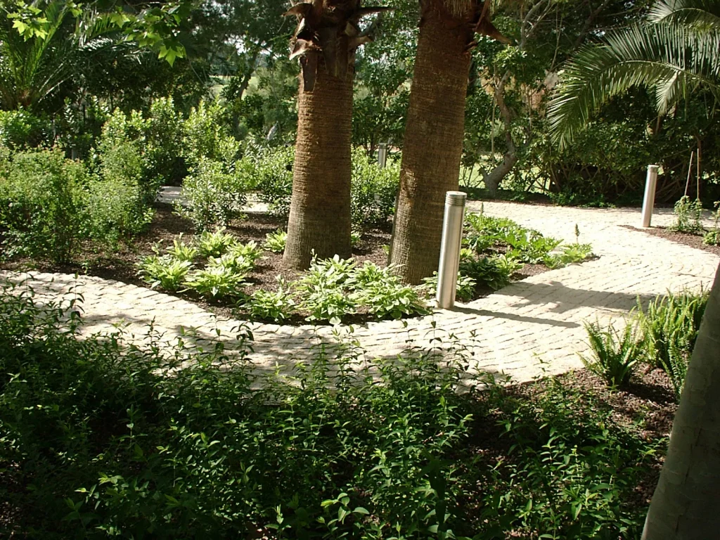 Camino de piedra entre palmeras en jardín mediterráneo