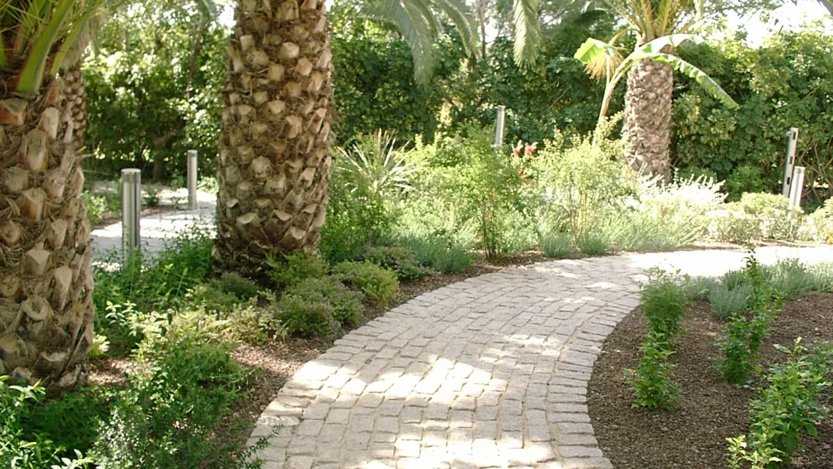 Diseño de paseo entre vegetación en jardín privado