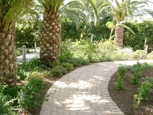 Diseño de paseo entre vegetación en jardín privado