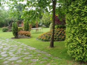 Caminos ajardinados entre árboles y vegetación ornamental