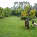 Diseño de jardín con césped, arbustos y bancos decorativos
