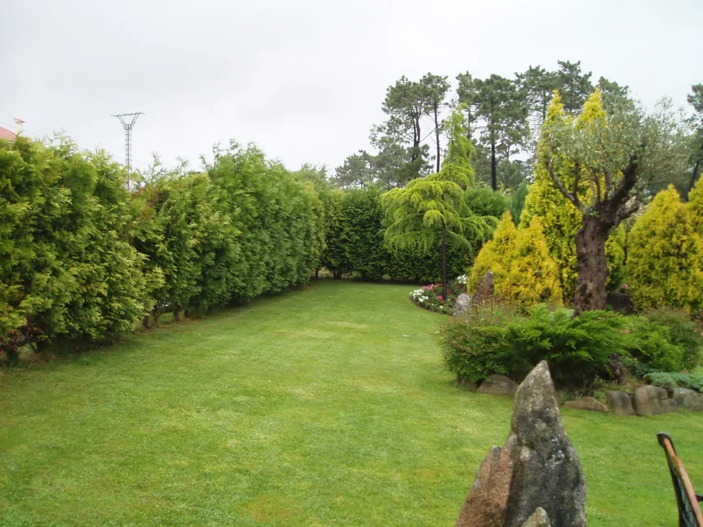 Diseño de jardín con setos y árboles ornamentales