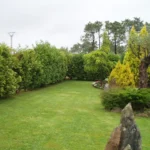 Diseño de jardín con setos y árboles ornamentales