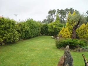 Diseño de jardín con setos y árboles ornamentales